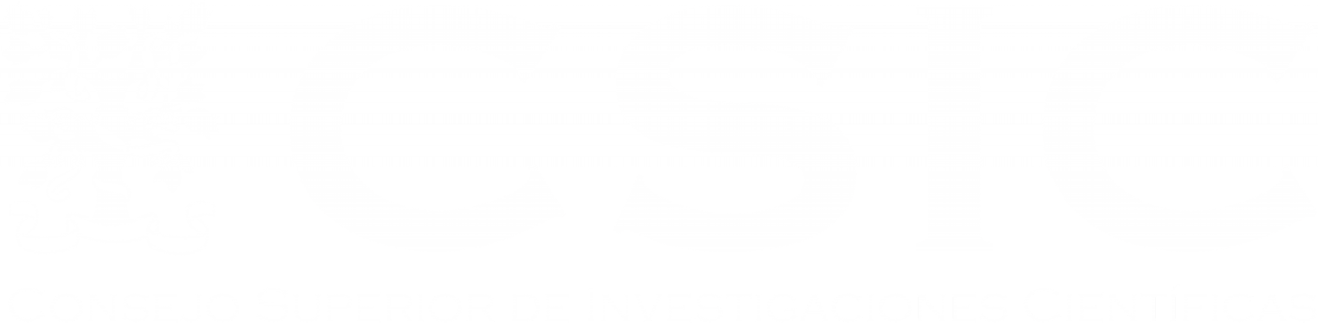 CSIC_white