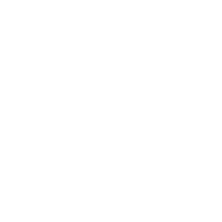 FIB_white